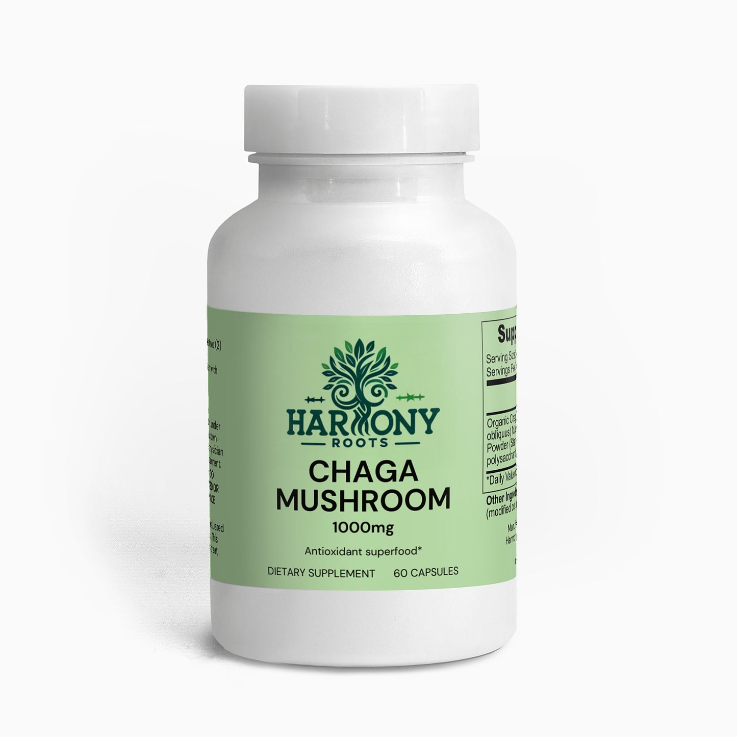 Chaga Mushroom